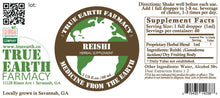 Reishi  (Ganoderma lucidum)