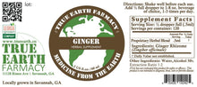 Ginger (Zingiber officinale)